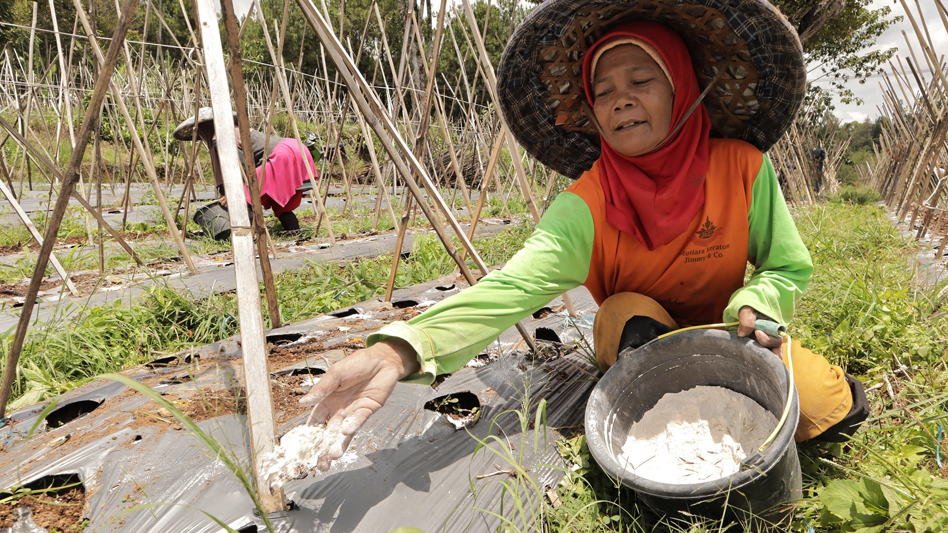 Impact - KedaiPangan | Good Deeds In Everyday Needs