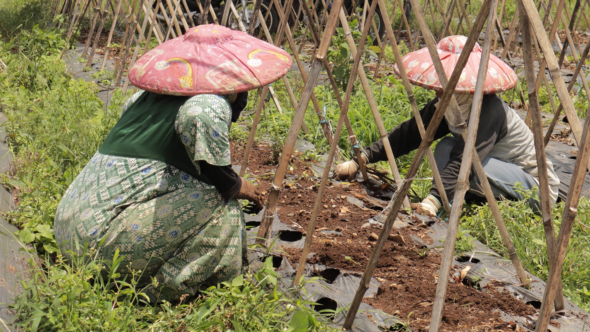 Impact - KedaiPangan | Good Deeds In Everyday Needs